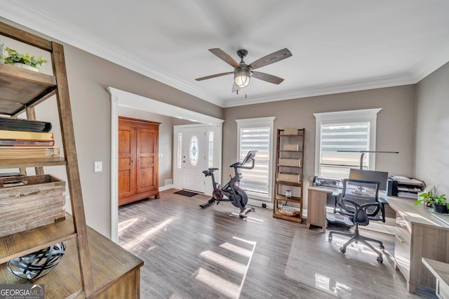 2717 Old Eastman Rd, Cadwell, GA 31009 - office space with a ceiling fan, healthy amount of natural light, wood finished floors, and ornamental molding