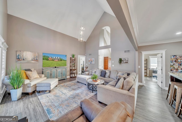 2717 Old Eastman Rd, Cadwell, GA 31009 - living area featuring wood finished floors, baseboards, and high vaulted ceiling