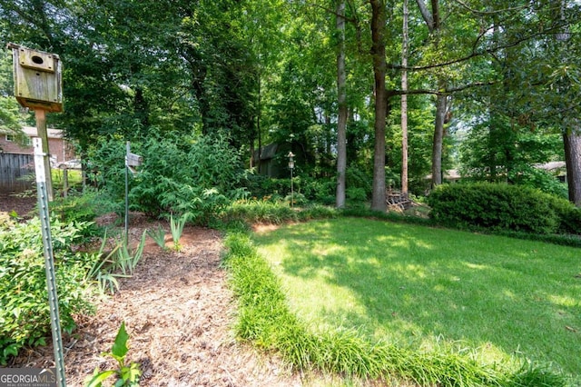 272 Creek Ct SW, Marietta, GA 30064 - view of yard