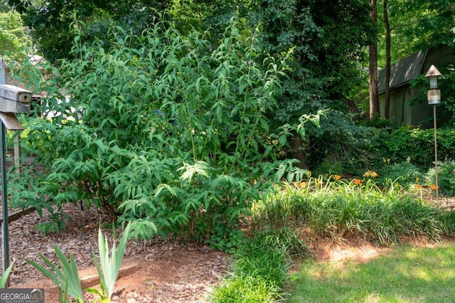 272 Creek Ct SW, Marietta, GA 30064 - view of yard