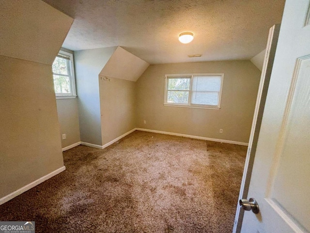 43 Oak Landing Cir, Douglasville, GA 30134 - bonus room with lofted ceiling, healthy amount of natural light, carpet flooring, and a textured ceiling