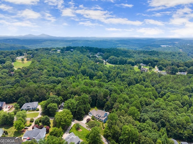 149 Highland Rd S, Dahlonega, GA 30533 - bird's eye view of a heavily wooded area