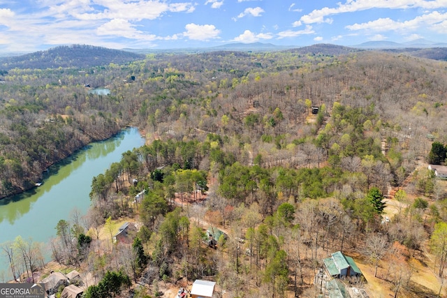 405 Cedar Hollow Rd Unit 2, Cleveland, GA 30528 - aerial view of property's location with a heavily wooded area and a water and mountain view