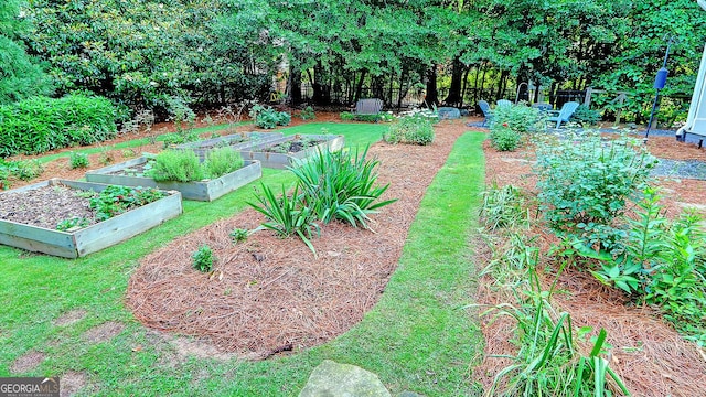 1178 Chambord Way NE, Brookhaven, GA 30319 - view of yard featuring a vegetable garden