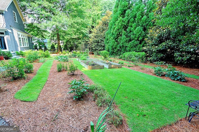 1178 Chambord Way NE, Brookhaven, GA 30319 - view of grassy yard with a vegetable garden