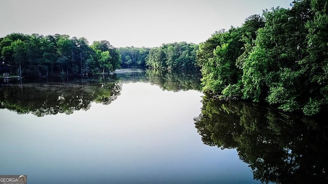 1178 Chambord Way NE, Brookhaven, GA 30319 - water view with a forest
