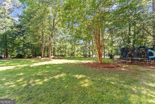 1421 Lane Creek Dr, Bishop, GA 30621 - view of green lawn with a trampoline