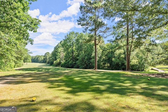 1421 Lane Creek Dr, Bishop, GA 30621 - view of green lawn