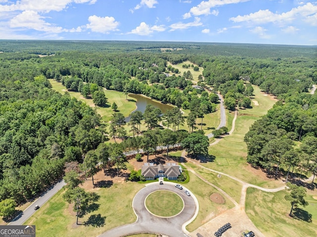 1421 Lane Creek Dr, Bishop, GA 30621 - bird's eye view of a heavily wooded area and a large body of water