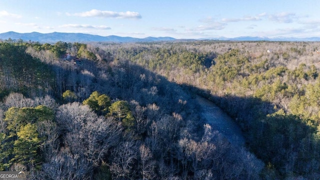 100 Oboe Ct, Ellijay, GA 30540 - mountain view with a heavily wooded area