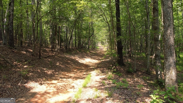 1520 Marshall Wilkes Rd, Watkinsville, GA 30677