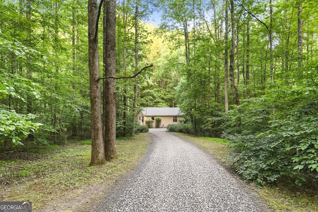 62 Nocona Trl, Ellijay, GA 30536 - view of front of house with gravel driveway and a view of trees