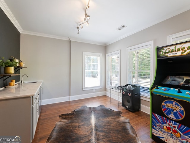 70 Baker Pond Ct, Jefferson, GA 30549 - rec room featuring ornamental molding, baseboards, a sink, and dark wood-style floors
