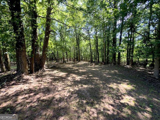 70 Baker Pond Ct, Jefferson, GA 30549 - view of tree filled area