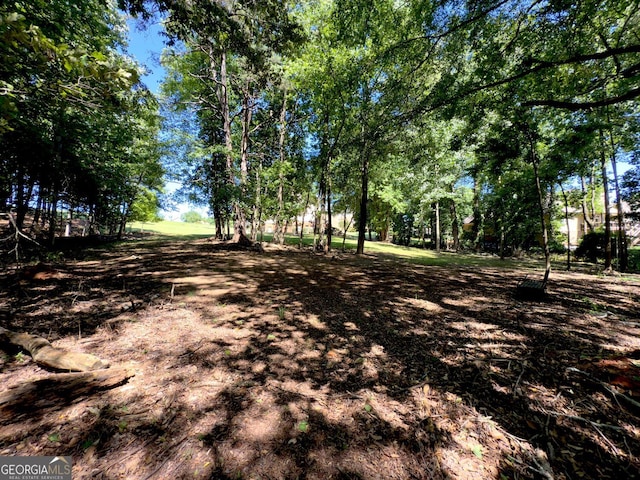 70 Baker Pond Ct, Jefferson, GA 30549 - view of yard