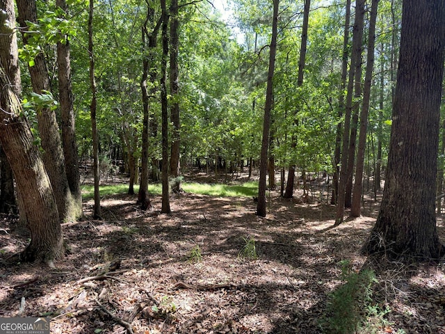 70 Baker Pond Ct, Jefferson, GA 30549 - view of wooded area