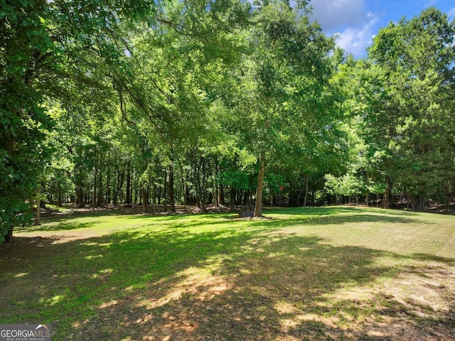70 Baker Pond Ct, Jefferson, GA 30549 - view of green lawn