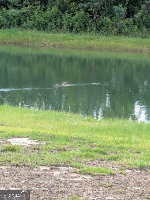 310 Lillian St, Rincon, GA 31326 - water view featuring a heavily wooded area