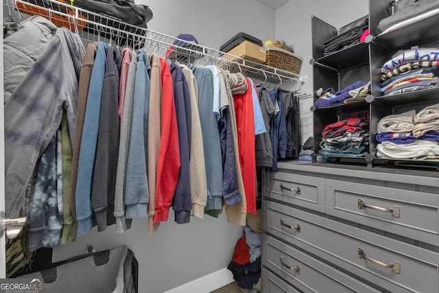206 Roundwood Way, Peachtree City, GA 30269 - view of walk in closet