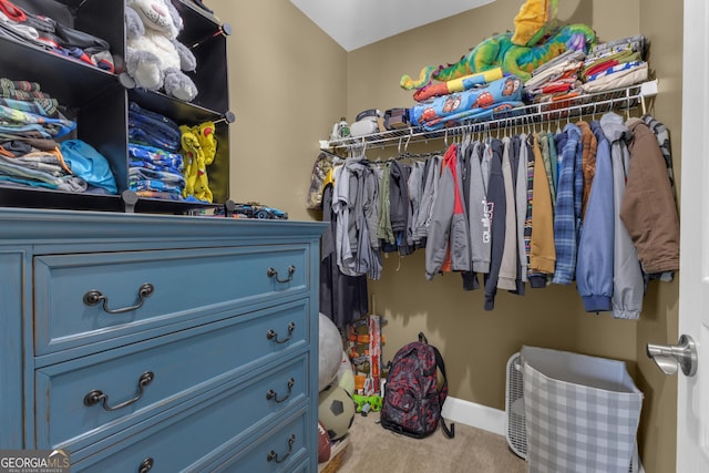 206 Roundwood Way, Peachtree City, GA 30269 - walk in closet with carpet flooring