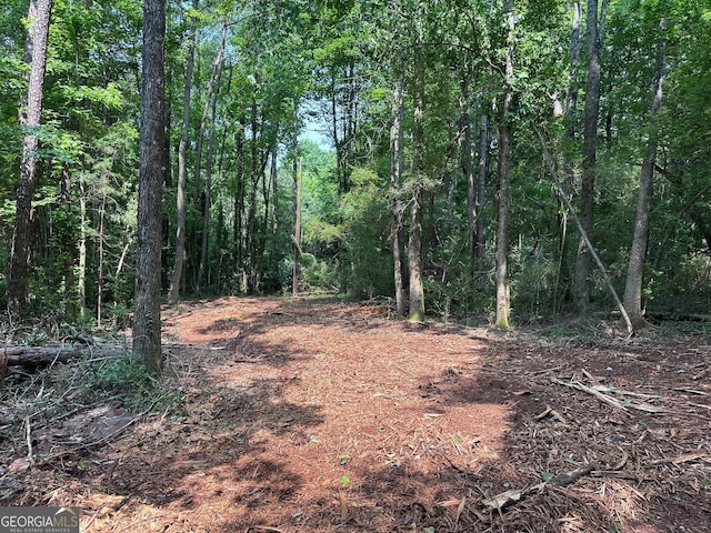 481 Swint Rd, Griffin, GA 30224