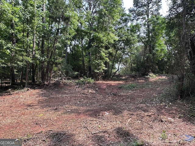 481 Swint Rd, Griffin, GA 30224