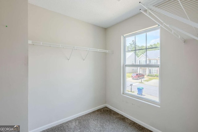 2255 Bigwood Trl, Atlanta, GA 30349 - walk in closet with carpet