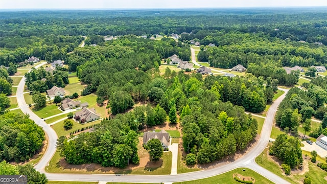 172 Walden Pond Trl, Senoia, GA 30276 - bird's eye view of a forest