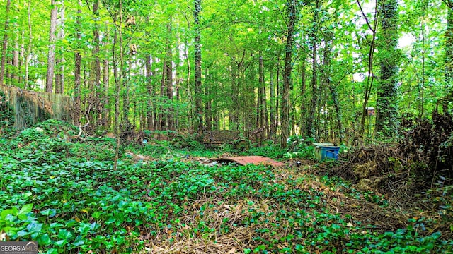 1183 Iron Gate Blvd, Jonesboro, GA 30238 - view of tree filled area