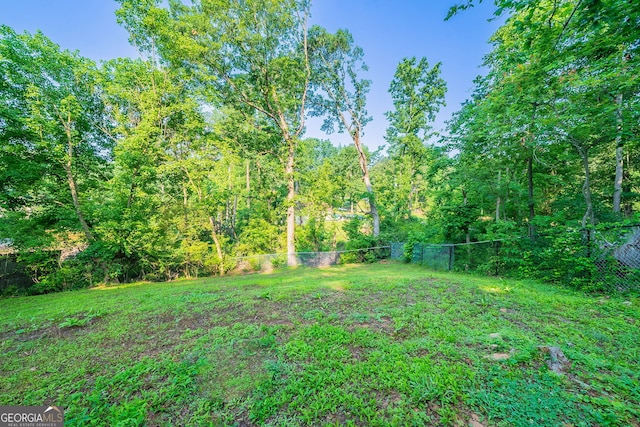 4457 Lincoln Jones Rd, Ellenwood, GA 30294 - view of yard