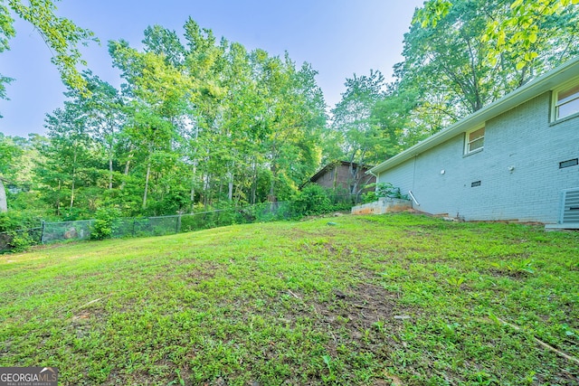 4457 Lincoln Jones Rd, Ellenwood, GA 30294 - view of yard