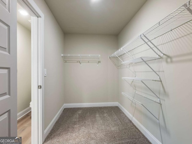 204 Rachel Ln, Hartwell, GA 30643 - spacious closet featuring carpet floors