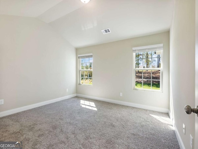 204 Rachel Ln, Hartwell, GA 30643 - carpeted empty room featuring plenty of natural light, lofted ceiling, and baseboards