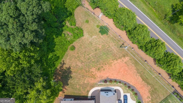 4110 Gentle Breeze Way, Braselton, GA 30517 - view of property location