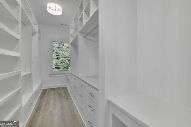 113 Quinn Way, Milton, GA 30004 - spacious closet featuring light wood-style floors and a chandelier