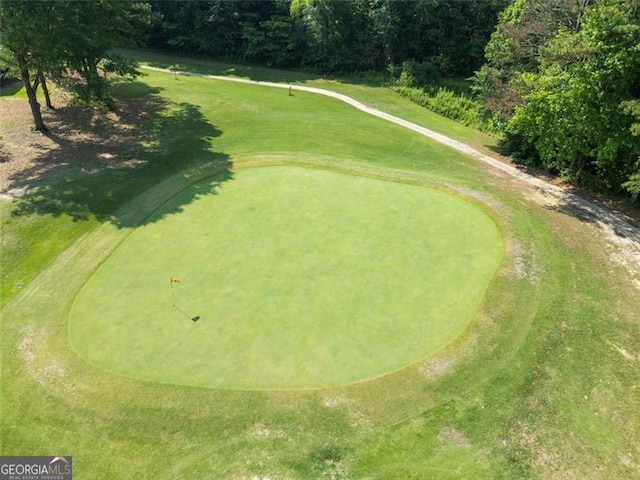 14 Augusta Way, Hiram, GA 30141 - surrounding community featuring golf course view and an area to practice putting