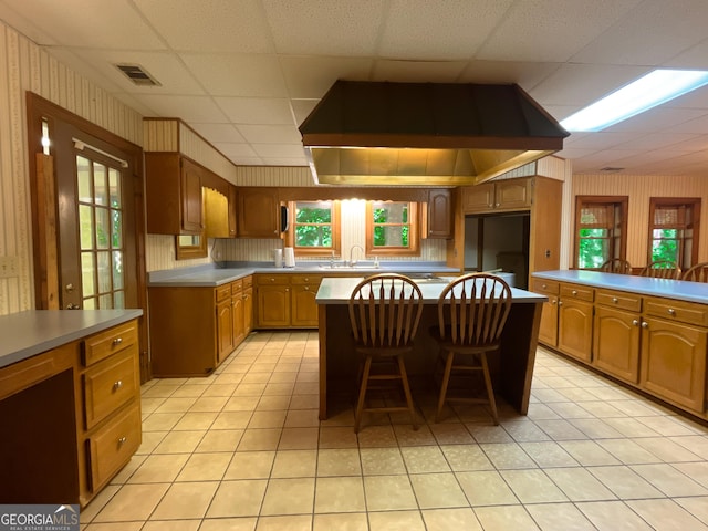 3222 US Highway 80 W, Dublin, GA 31021 - kitchen with a drop ceiling, light tile patterned floors, healthy amount of natural light, ventilation hood, and a sink