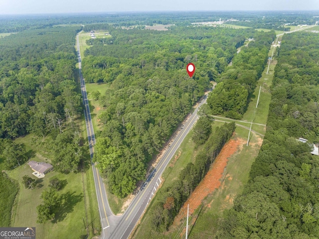 3222 US Highway 80 W, Dublin, GA 31021 - view of property location featuring a heavily wooded area