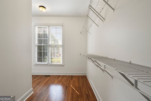 203 Crescent Moon Way, Canton, GA 30114 - walk in closet featuring wood finished floors