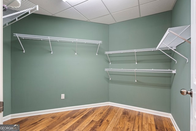 203 Crescent Moon Way, Canton, GA 30114 - walk in closet featuring wood finished floors and a drop ceiling