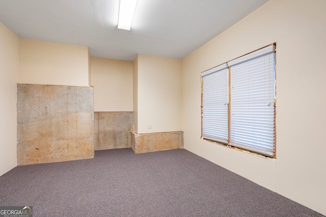 203 Crescent Moon Way, Canton, GA 30114 - spare room featuring carpet flooring