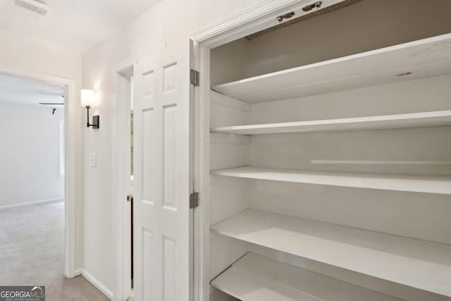 5240 Arrie Way, Atlanta, GA 30360 - view of closet