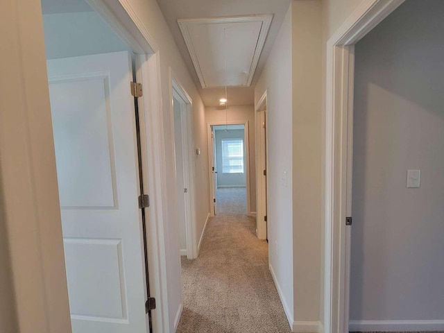321 Lambert Overlook Cir Unit 76, Carrollton, GA 30117 - hall featuring attic access, carpet, and baseboards
