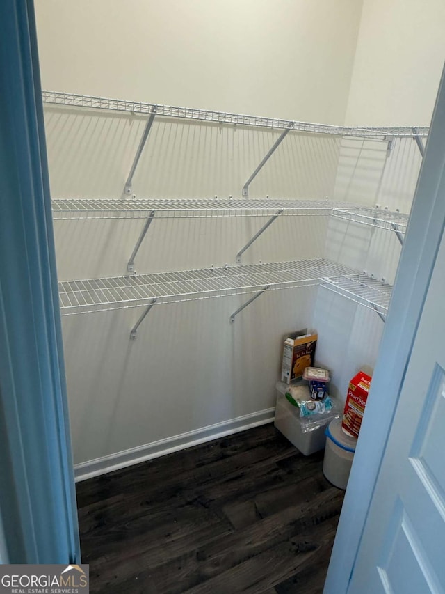 3378 English Elm Way, Loganville, GA 30052 - view of pantry