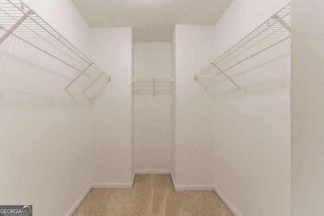 171 Stillwood Dr, Newnan, GA 30265 - spacious closet featuring light carpet