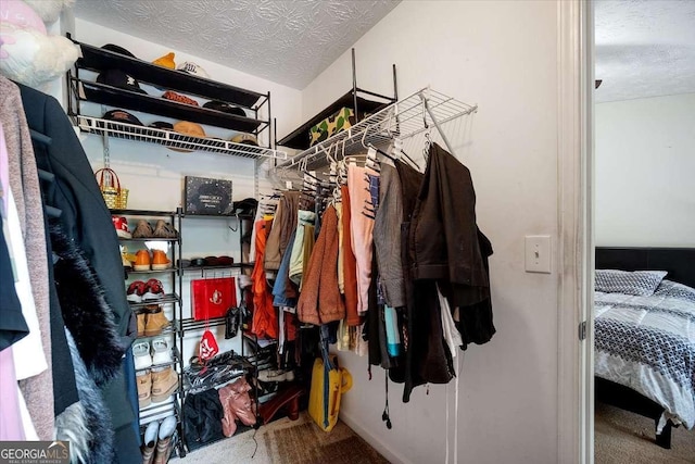780 Nehemiah Ln SW, Atlanta, GA 30331 - spacious closet with carpet floors