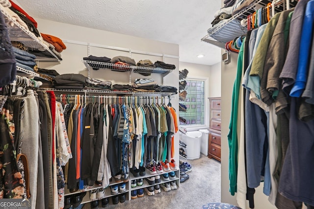 130 Emerald Dr, Mcdonough, GA 30253 - spacious closet with carpet floors