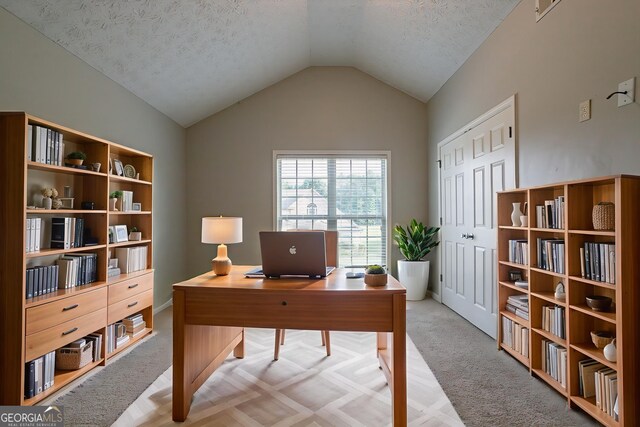 2482 Brittany Park Ln, Ellenwood, GA 30294 - office featuring carpet floors, lofted ceiling, and a textured ceiling