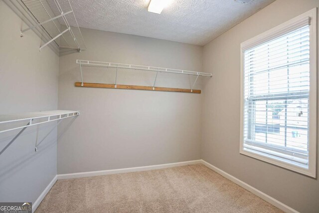 2482 Brittany Park Ln, Ellenwood, GA 30294 - unfurnished room with light colored carpet, baseboards, a ceiling fan, and a textured ceiling