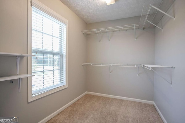 2482 Brittany Park Ln, Ellenwood, GA 30294 - spacious closet featuring carpet flooring